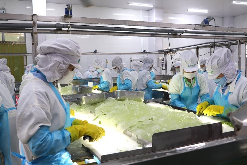 Food processing appeals to foreign investors